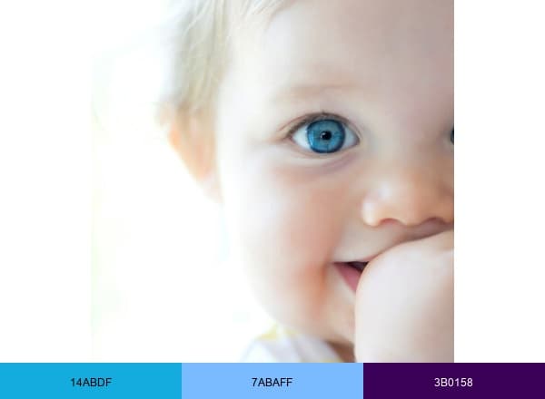 Kidilys brand color palette