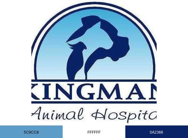Kingman Animal Hospital brand color palette