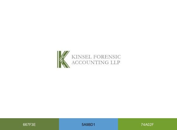 Kinsel Forensic CPA brand color palette