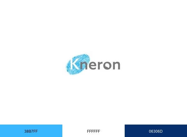 Kneron brand color palette