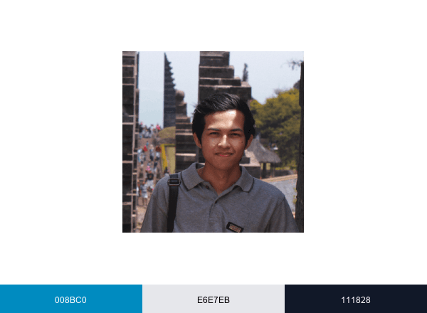 Damas Amirul Karim brand color palette