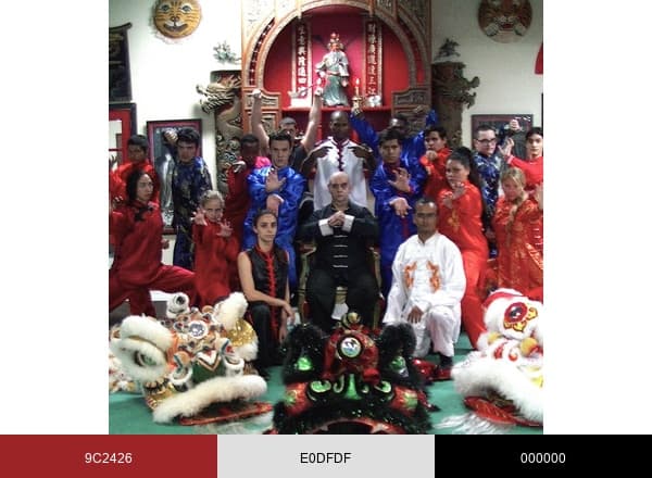 Kung Fu Connection brand color palette