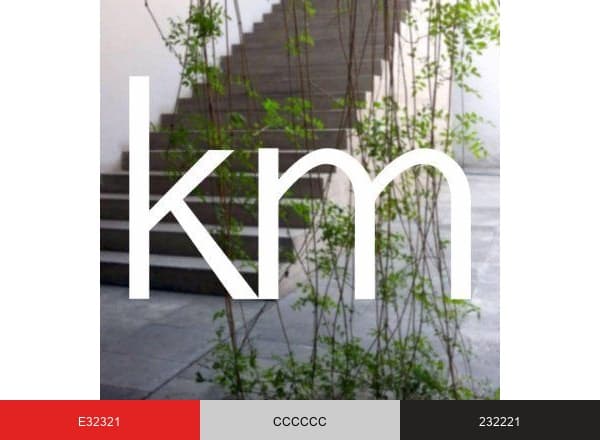 Kurimanzutto brand color palette