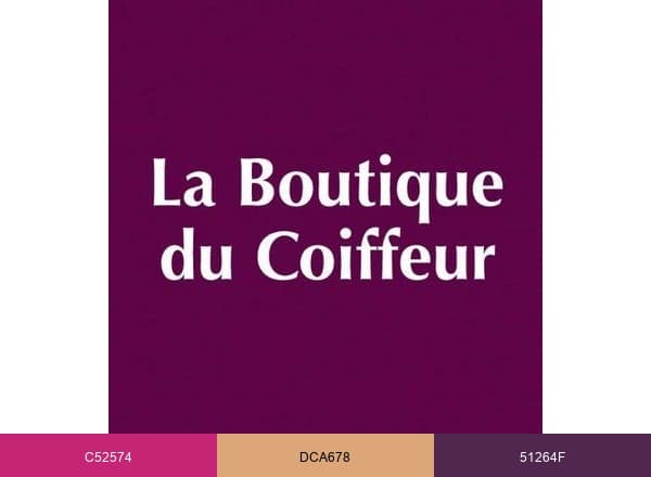LaBoutiqueduCoiffeur brand color palette