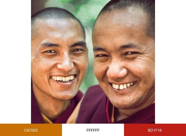 Lama Yeshe brand color palette