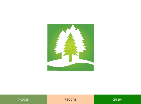 Lane Forest brand color palette