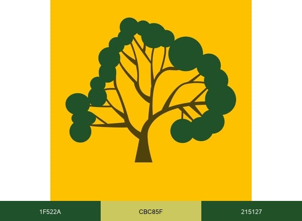 Lawn John brand color palette