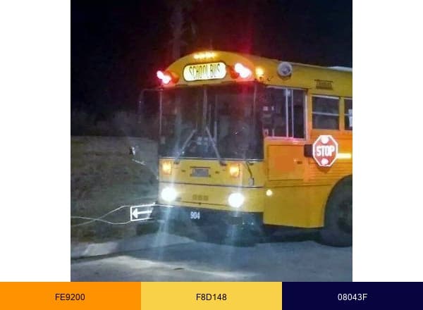 Legacy Student Transport brand color palette