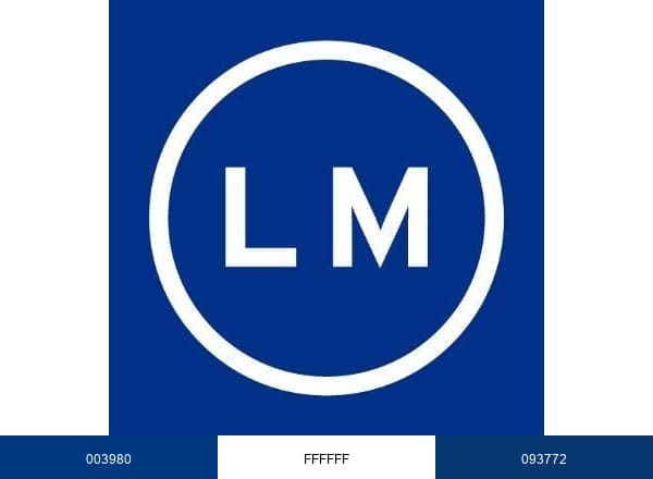 Lehmann Maupin brand color palette