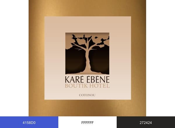 Boutique Hôtel Karé Ébène Cotonou brand color palette
