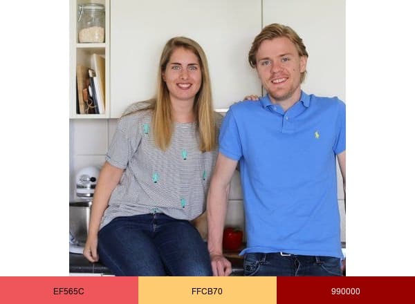 Lekker en Simpel brand color palette
