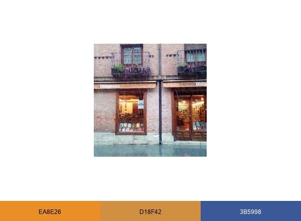 Librería Diógenes brand color palette