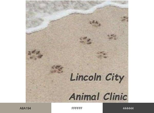 Lincoln City AC brand color palette
