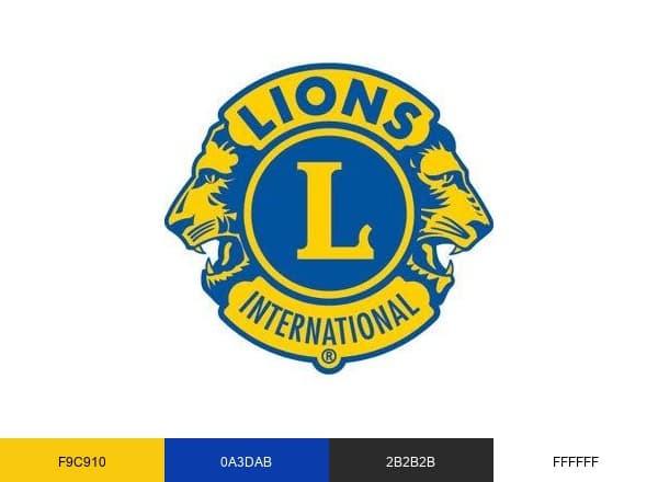 Nyansapow Leo Club brand color palette