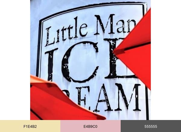 Little Man Ice Cream brand color palette