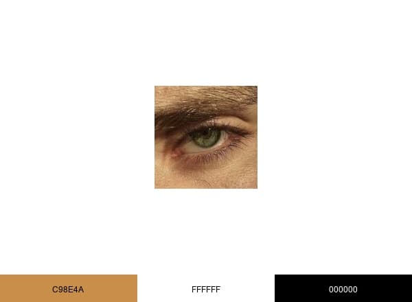 Looksmaxxing brand color palette