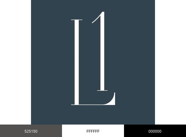 Loop One Design Group brand color palette