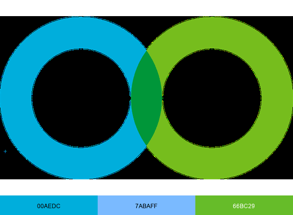 Loopper.com brand color palette