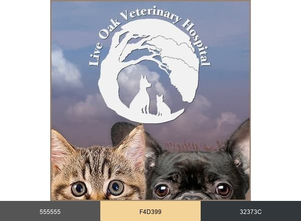 Live Oak Veterinaria brand color palette