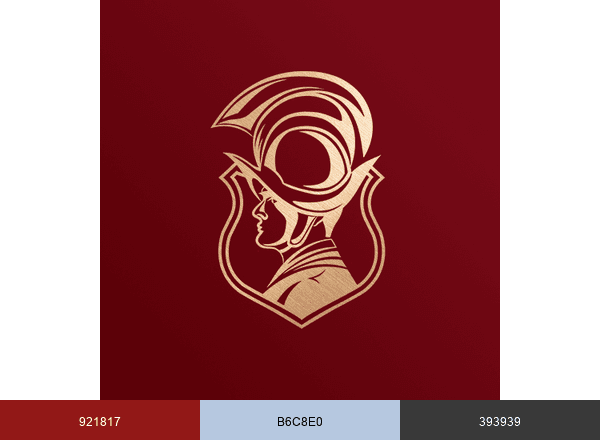 Luxshopping brand color palette