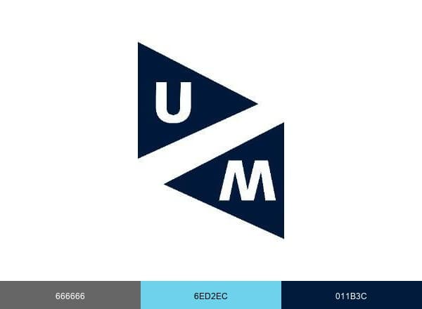 Maastricht University brand color palette