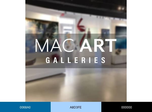 MAC FINE ART brand color palette