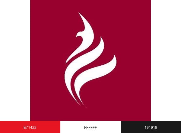 Madar Building Materials brand color palette