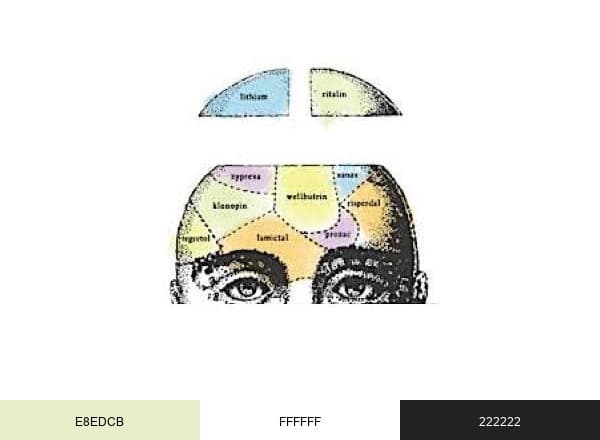 Mad In America brand color palette