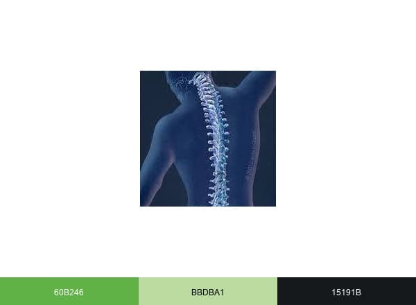 Madison Spine & PT brand color palette