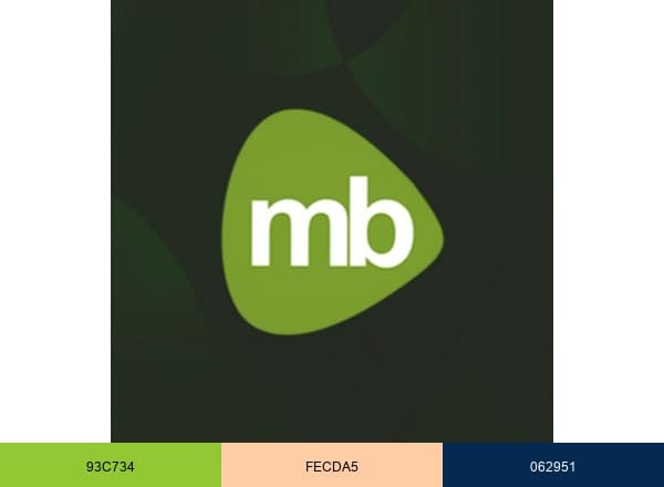 Magnet Brains Software Tech. Pvt. Ltd brand color palette
