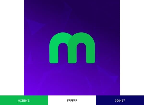 Magneto Empleos brand color palette
