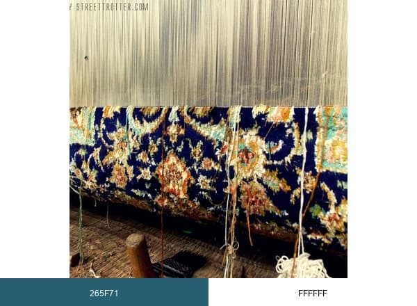 Maharaja Carpets India brand color palette