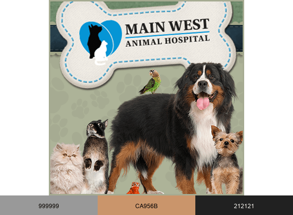 Main West Animal Hospital | Welland ON brand color palette