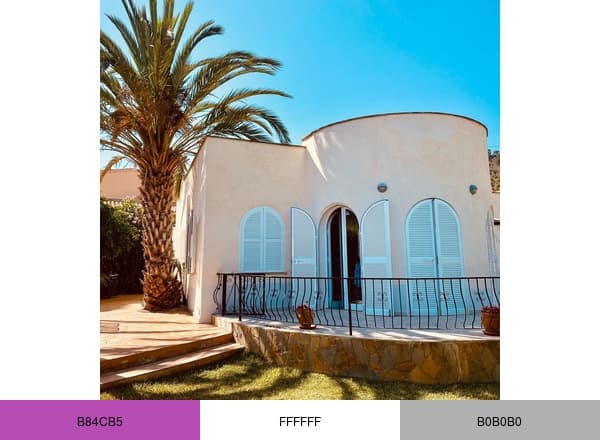 Casa Flora Paguera brand color palette