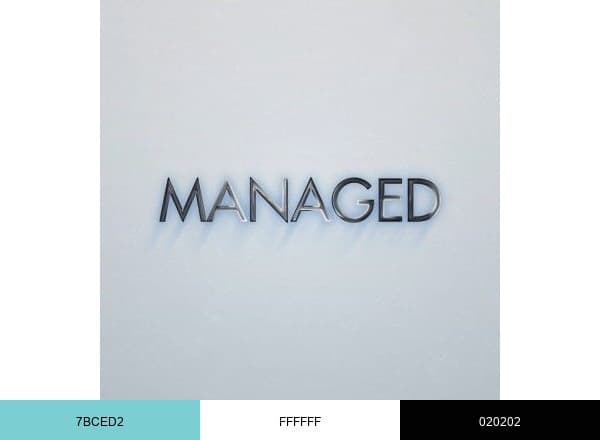 Managed Group brand color palette