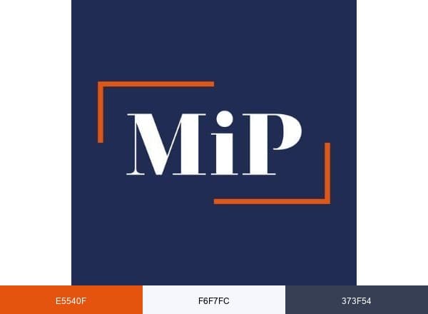 Management in Practice brand color palette