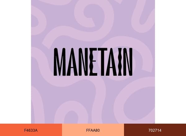 Manetain brand color palette