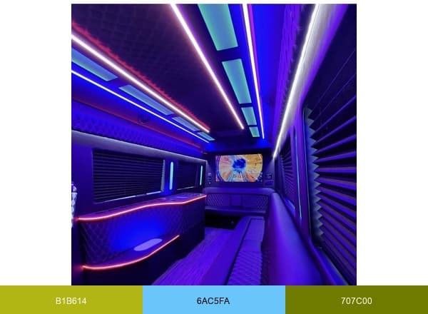 Mansion’s Luxury Car Service brand color palette