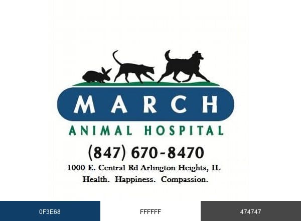 March Animal brand color palette
