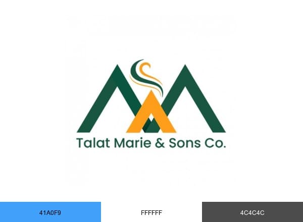 شركة طلعت عبد الجواد مرعي واولاده brand color palette