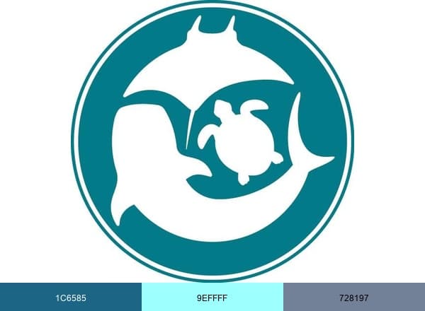 Marine Megafauna Foundation brand color palette