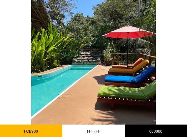 Mariposa Jungle Lodge ⓥ brand color palette