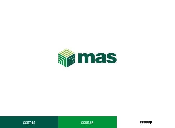 MAS Cargo Airline brand color palette