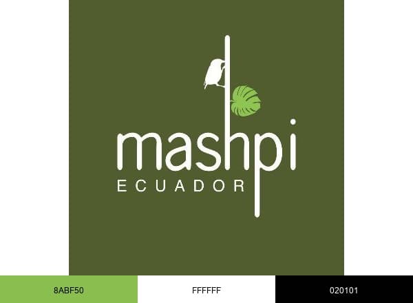 Mashpi Lodge brand color palette