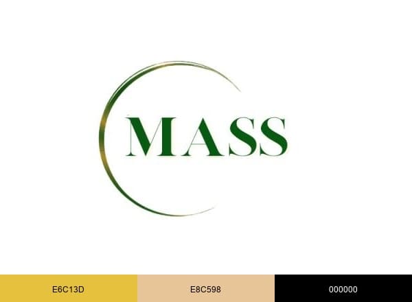 MASSSVCS brand color palette