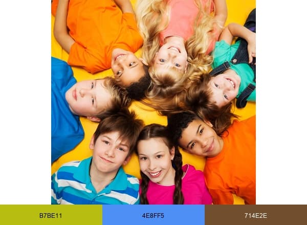 Maven Lane brand color palette