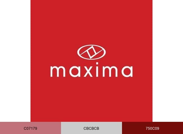 Maxima Watches brand color palette