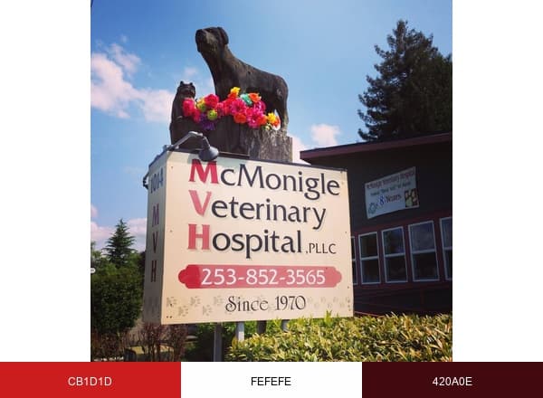 McMonigle Veterinary Hospital brand color palette