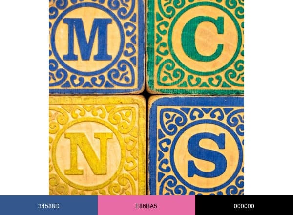 MCNS brand color palette