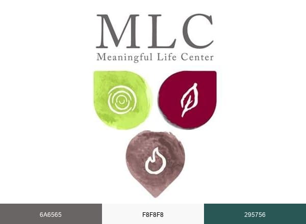 Meaningful Life brand color palette